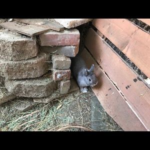 Meet your Posher, Madison